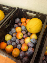 Obst-3