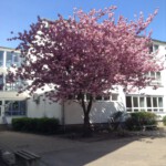 Frühling