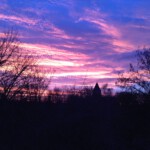 Morgens